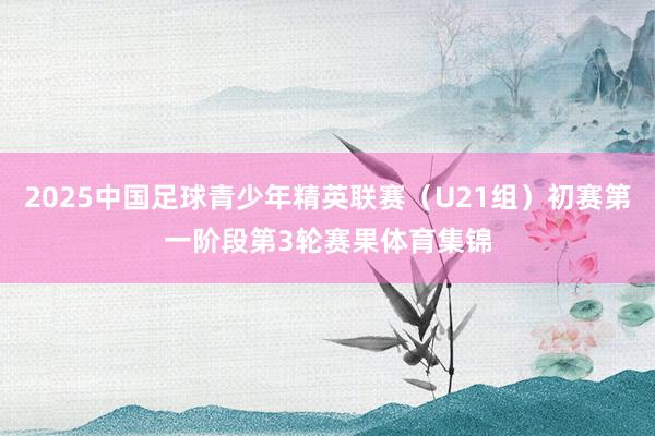 2025中国足球青少年精英联赛（U21组）初赛第一阶段第3轮赛果体育集锦