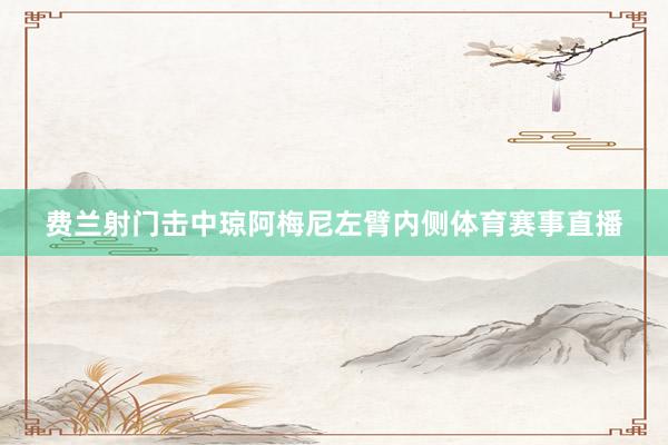 费兰射门击中琼阿梅尼左臂内侧体育赛事直播