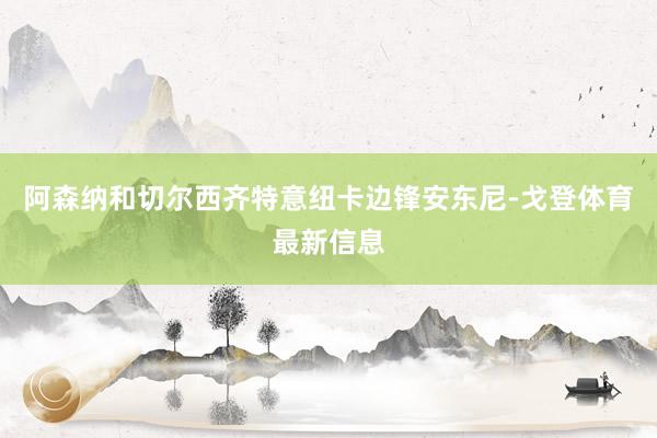 阿森纳和切尔西齐特意纽卡边锋安东尼-戈登体育最新信息