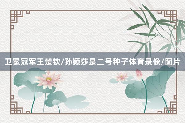 卫冕冠军王楚钦/孙颖莎是二号种子体育录像/图片