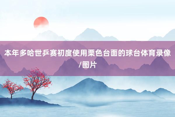 本年多哈世乒赛初度使用栗色台面的球台体育录像/图片