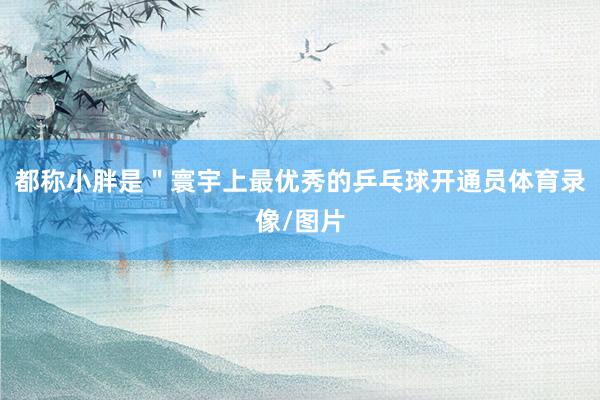 都称小胖是＂寰宇上最优秀的乒乓球开通员体育录像/图片