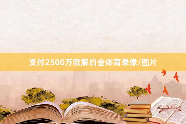 支付2500万欧解约金体育录像/图片