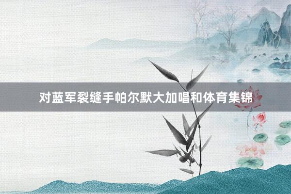 对蓝军裂缝手帕尔默大加唱和体育集锦
