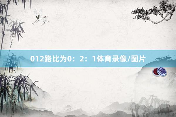 012路比为0：2：1体育录像/图片
