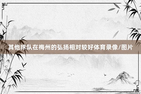 其他球队在梅州的弘扬相对较好体育录像/图片
