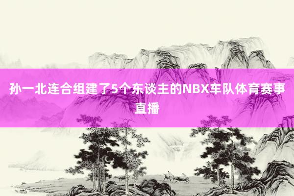 孙一北连合组建了5个东谈主的NBX车队体育赛事直播