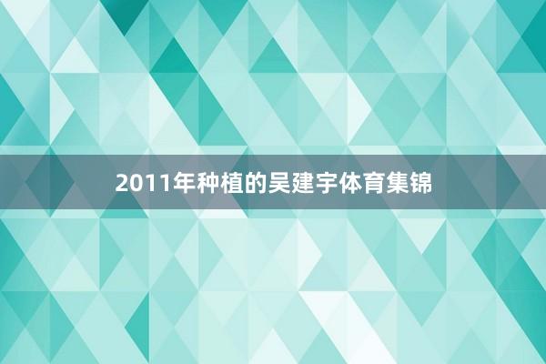 2011年种植的吴建宇体育集锦
