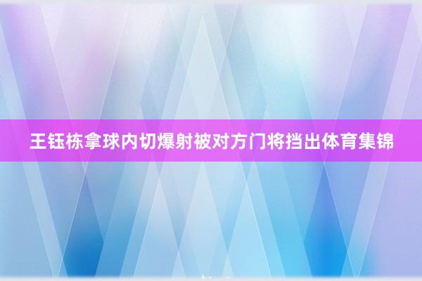 王钰栋拿球内切爆射被对方门将挡出体育集锦