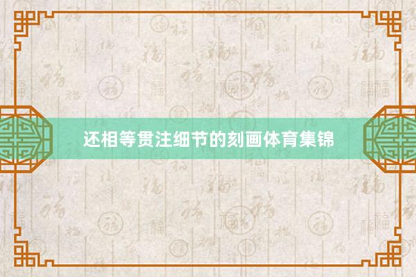 还相等贯注细节的刻画体育集锦