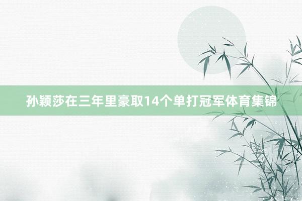 孙颖莎在三年里豪取14个单打冠军体育集锦