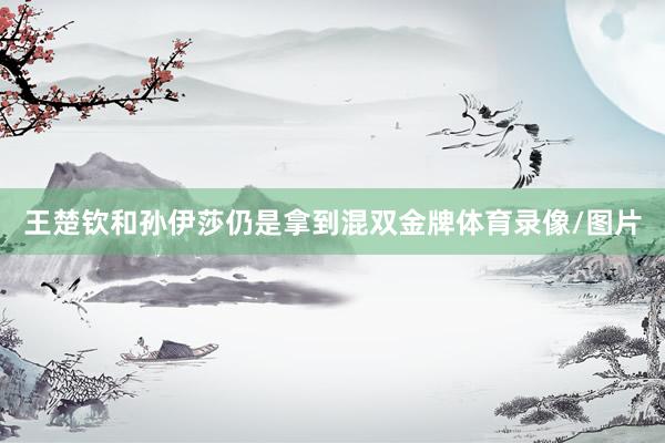 王楚钦和孙伊莎仍是拿到混双金牌体育录像/图片