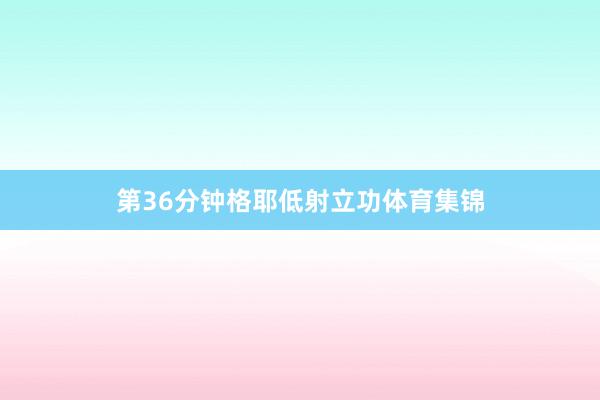 第36分钟格耶低射立功体育集锦
