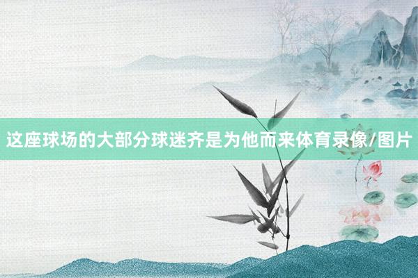 这座球场的大部分球迷齐是为他而来体育录像/图片
