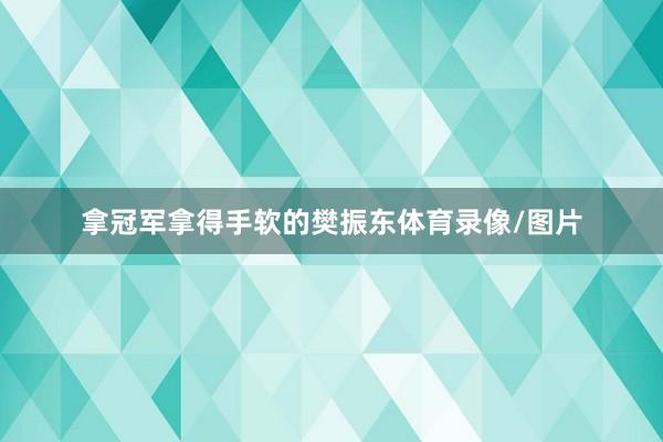 拿冠军拿得手软的樊振东体育录像/图片
