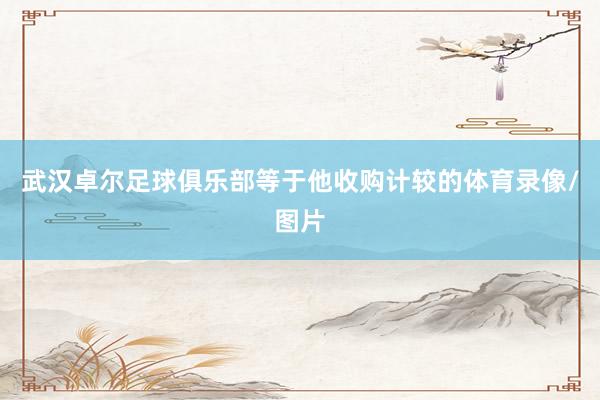 武汉卓尔足球俱乐部等于他收购计较的体育录像/图片