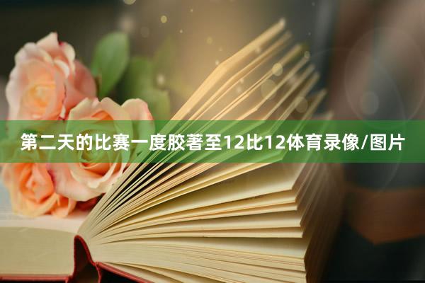 第二天的比赛一度胶著至12比12体育录像/图片