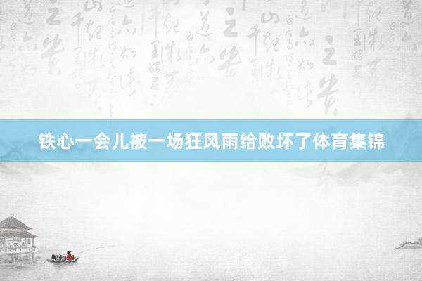 铁心一会儿被一场狂风雨给败坏了体育集锦