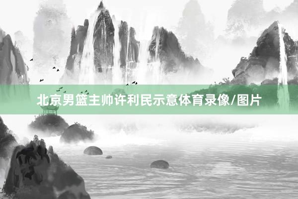 北京男篮主帅许利民示意体育录像/图片
