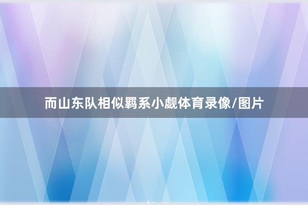 而山东队相似羁系小觑体育录像/图片