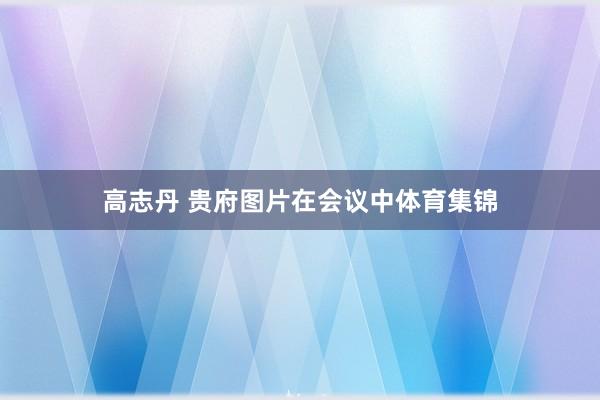 高志丹 贵府图片在会议中体育集锦