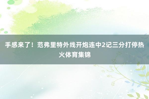 手感来了！范弗里特外线开炮连中2记三分打停热火体育集锦