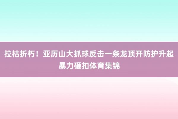 拉枯折朽！亚历山大抓球反击一条龙顶开防护升起暴力砸扣体育集锦