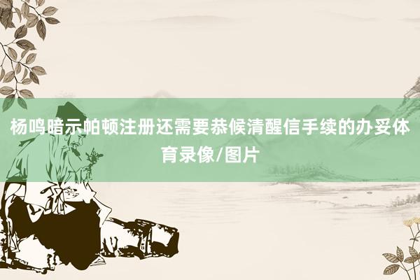 杨鸣暗示帕顿注册还需要恭候清醒信手续的办妥体育录像/图片