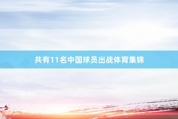 共有11名中国球员出战体育集锦