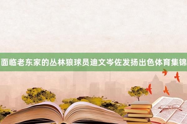面临老东家的丛林狼球员迪文岑佐发扬出色体育集锦