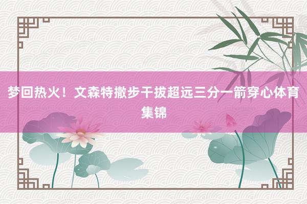 梦回热火！文森特撤步干拔超远三分一箭穿心体育集锦