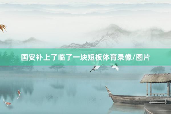 国安补上了临了一块短板体育录像/图片