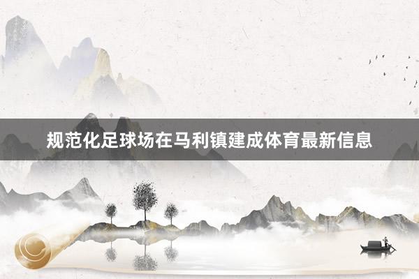 规范化足球场在马利镇建成体育最新信息
