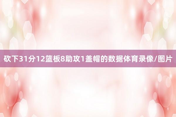 砍下31分12篮板8助攻1盖帽的数据体育录像/图片