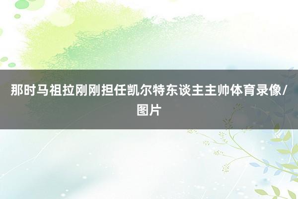 那时马祖拉刚刚担任凯尔特东谈主主帅体育录像/图片