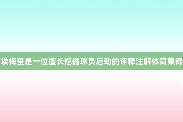 埃梅里是一位擅长挖掘球员后劲的评释注解体育集锦